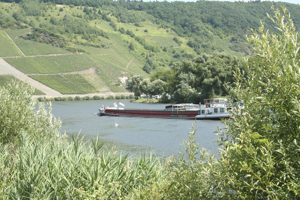 Hotel Vier Loewen Traben-Trarbach Luaran gambar
